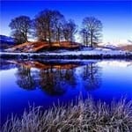 Esteban Cornejo avatar